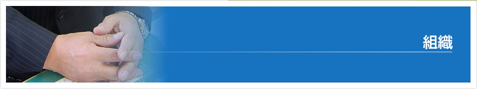 組織